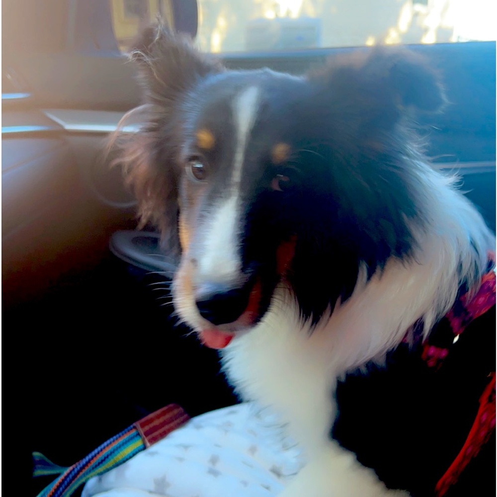 Meet your Posher, Erin